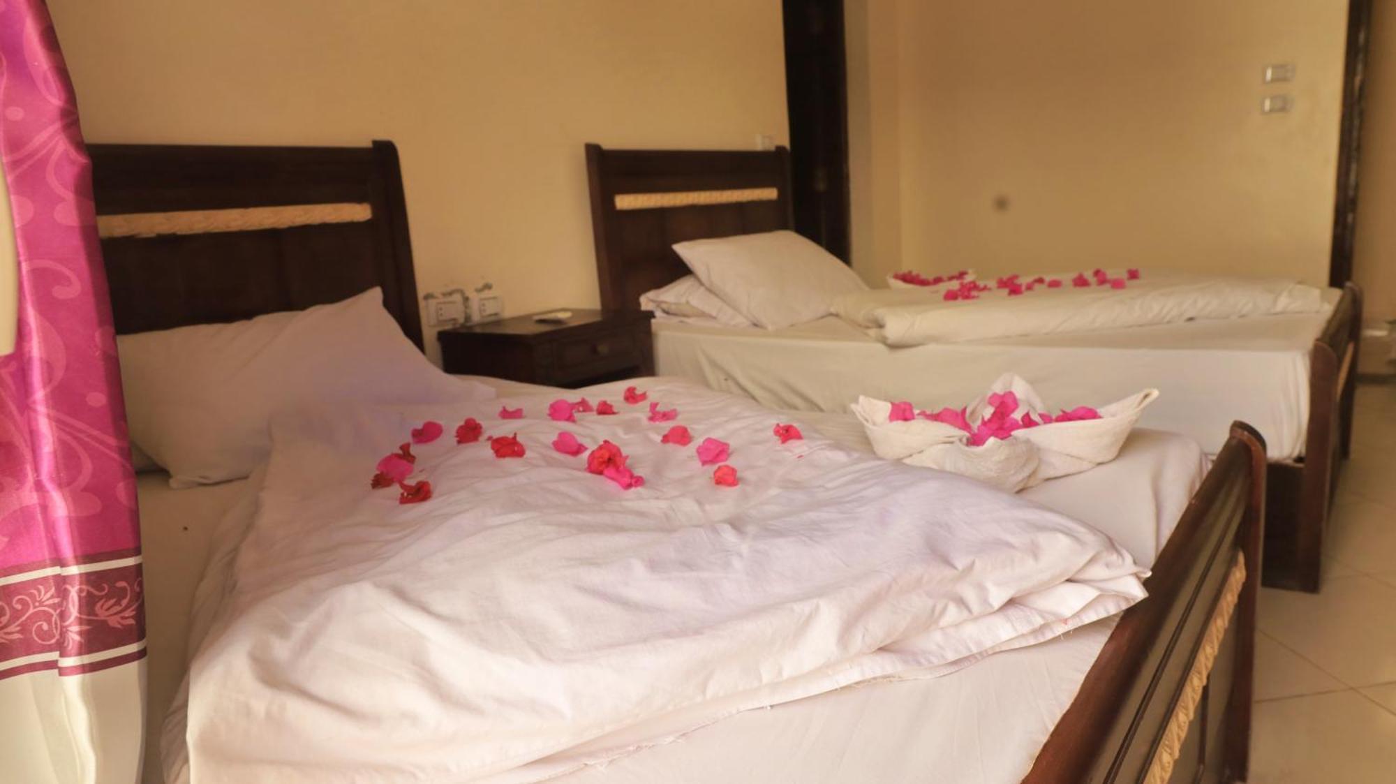 Dahab Bay Hotel Номер фото